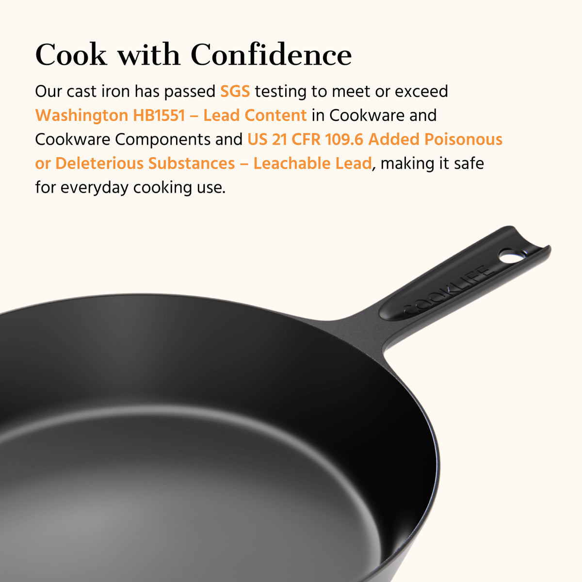 10 Inch Cast Iron Skillet with Lid